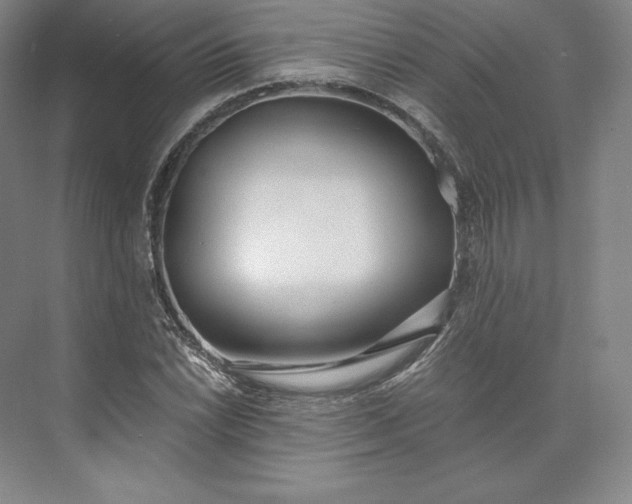 X0000073471022200608111530