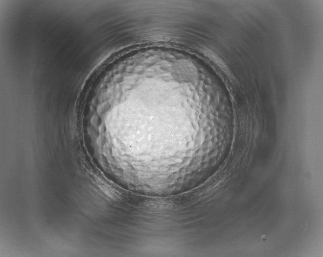 X0000073471023200608111530