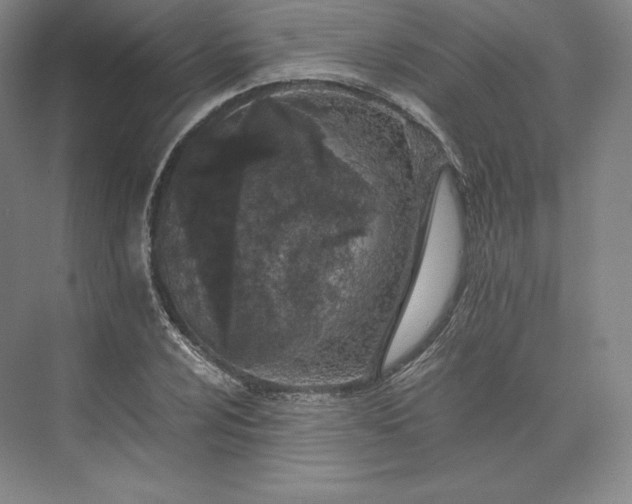 X0000073471024200608111530