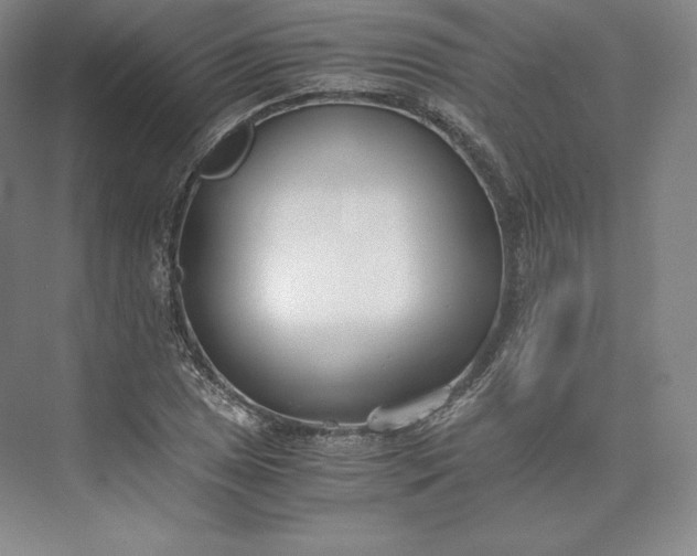 X0000073471025200608111530