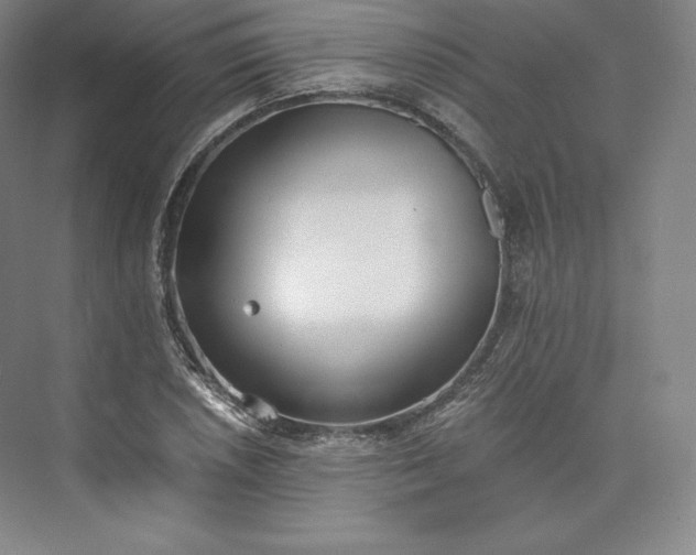 X0000073471026200608111530