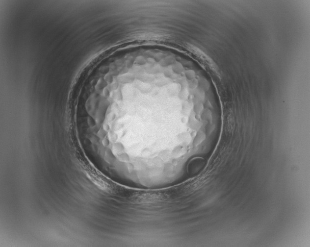 X0000073471027200608111530