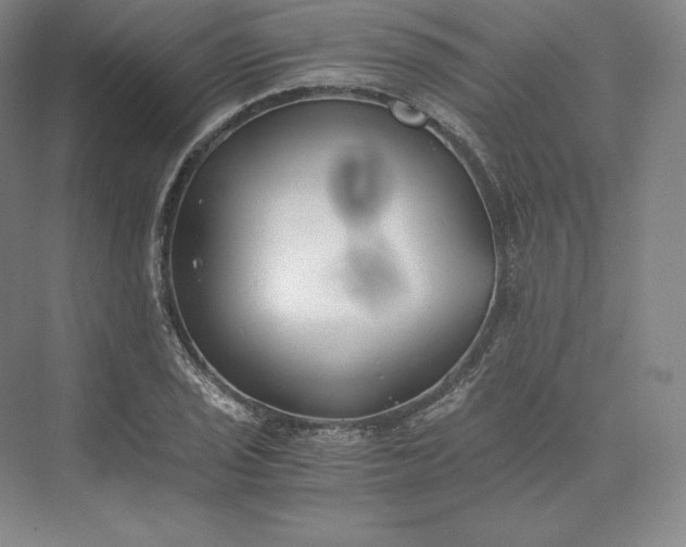 X0000073471029200608111530