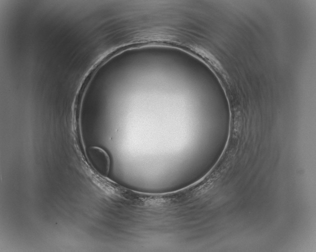 X0000073471031200608111530