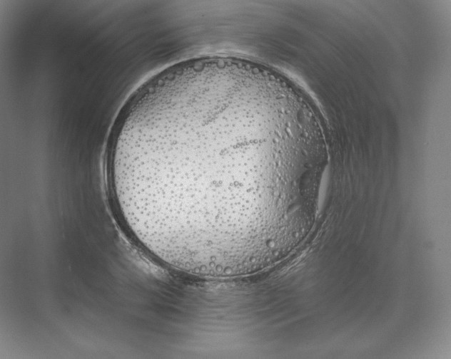 X0000073471032200608111530