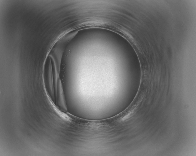 X0000073471034200608111531