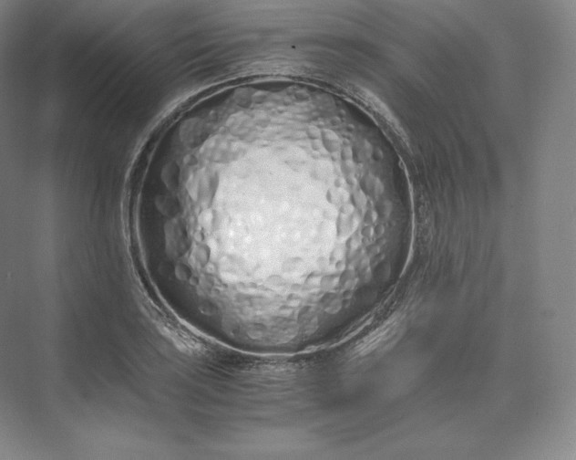 X0000073471035200608111531