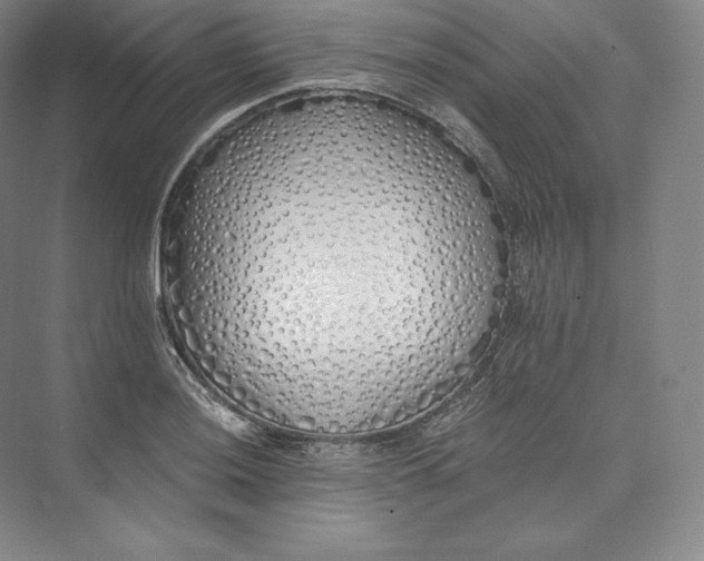 X0000073471036200608111531