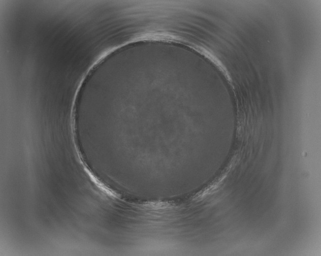 X0000073471037200608111531