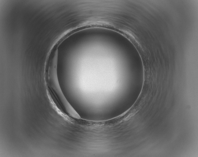 X0000073471038200608111531