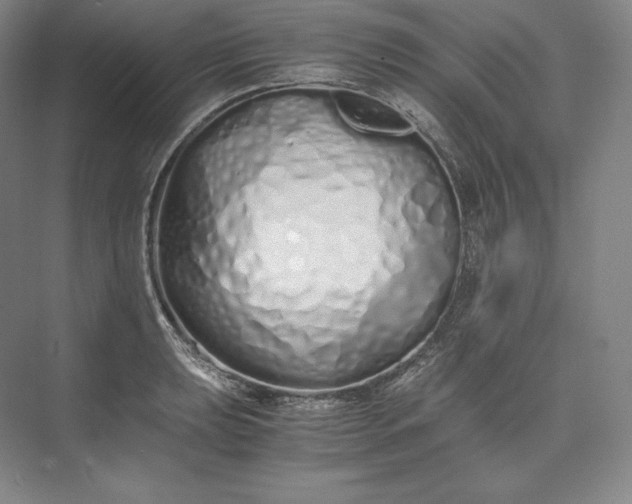 X0000073471039200608111531