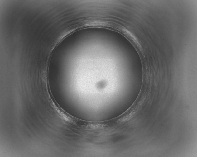 X0000073471041200608111531