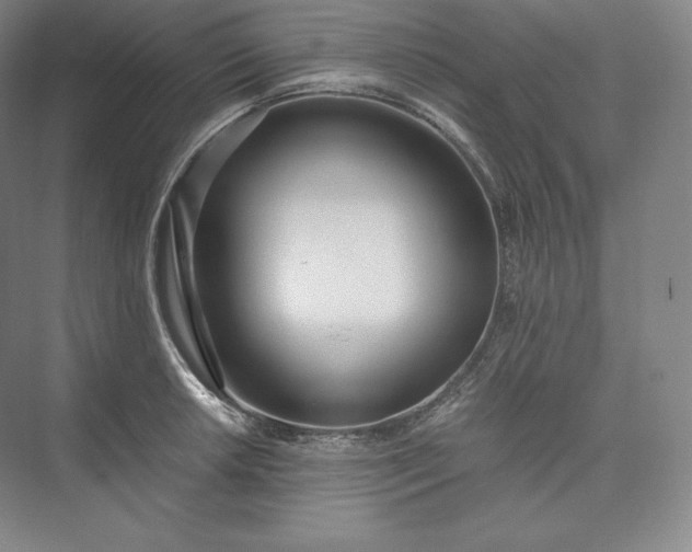 X0000073471042200608111531