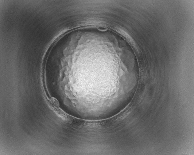 X0000073471043200608111531