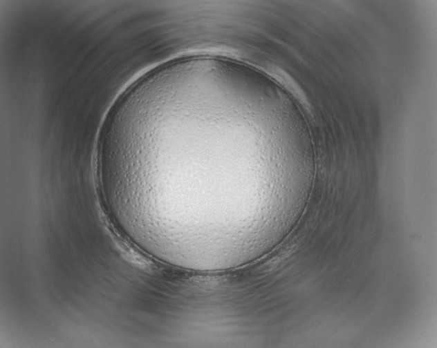 X0000073471044200608111531