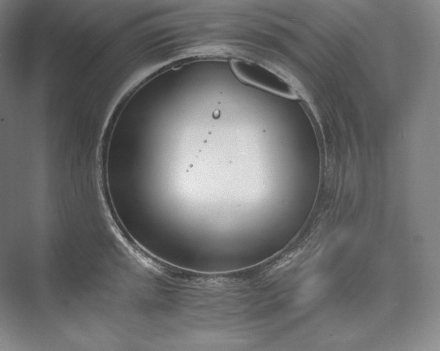 X0000073471045200608111531