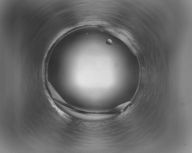 X0000073471046200608111531