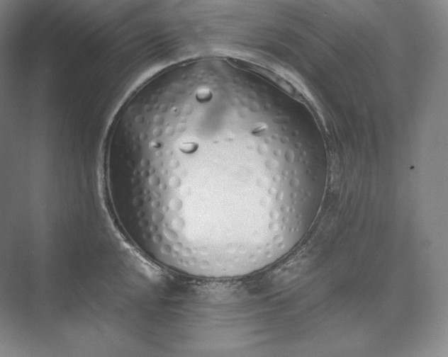 X0000073471048200608111531