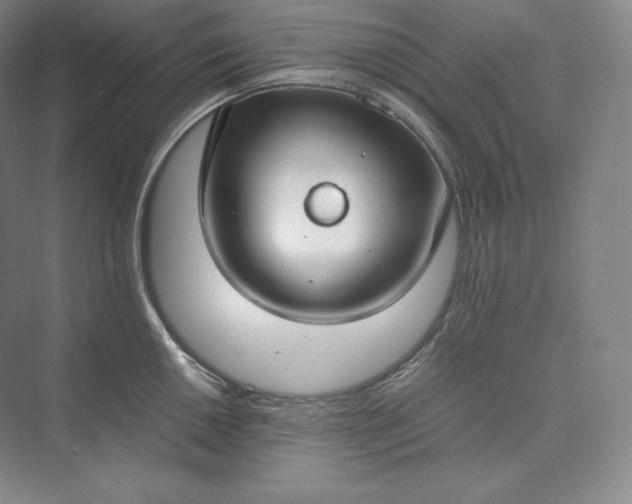 X0000073471050200608111531