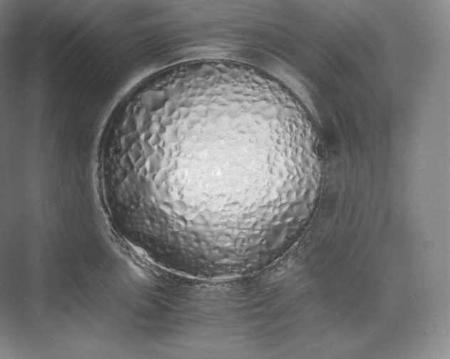 X0000073471051200608111531