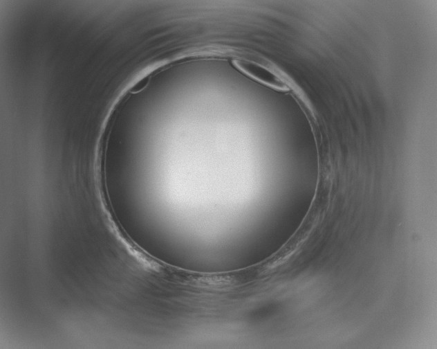 X0000073471053200608111531