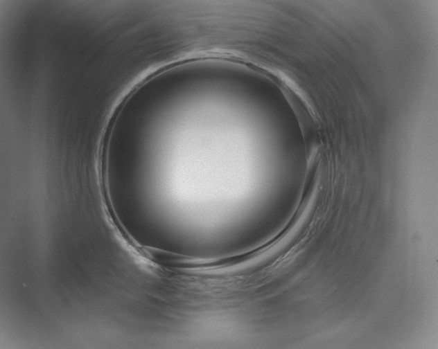 X0000073471054200608111531