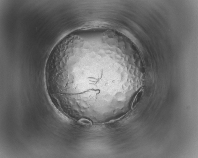 X0000073471055200608111531