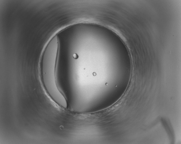 X0000073471056200608111531