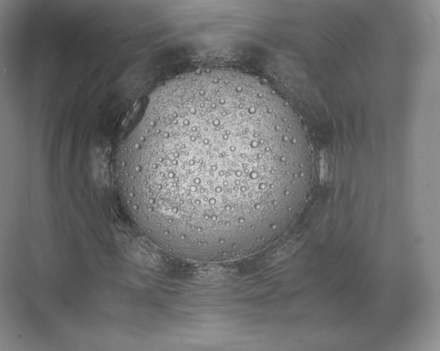 X0000073471059200608111530