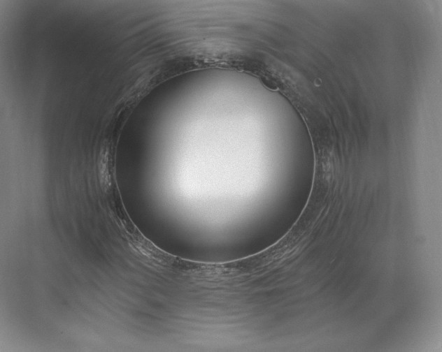 X0000073471060200608111530