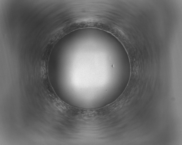 X0000073471062200608111530