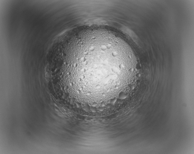 X0000073471063200608111530