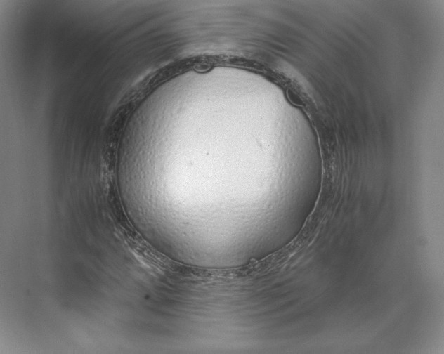 X0000073471064200608111530