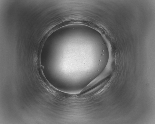 X0000073471065200608111530