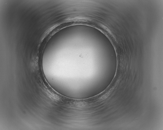 X0000073471066200608111530