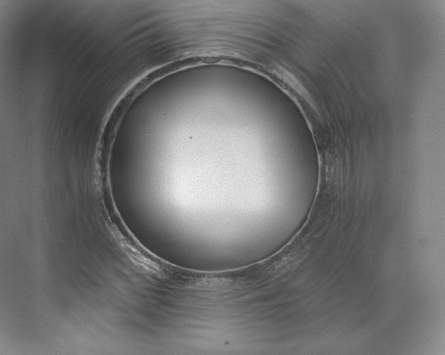 X0000073471068200608111530