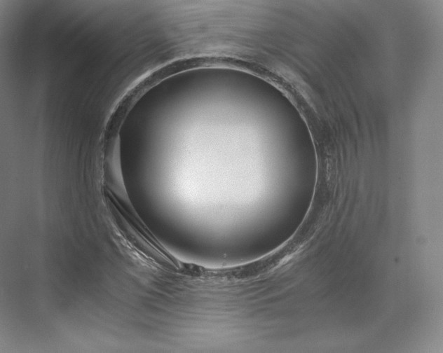 X0000073471069200608111530