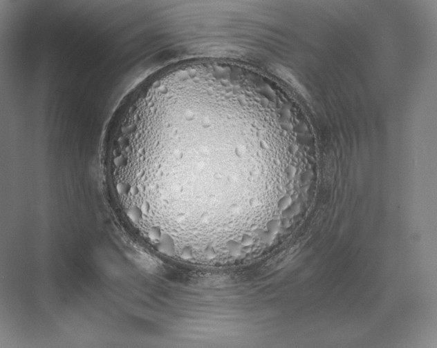 X0000073471071200608111530