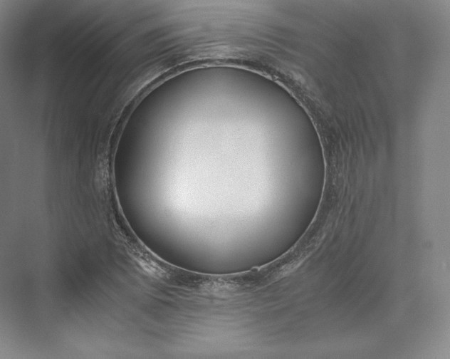 X0000073471073200608111530