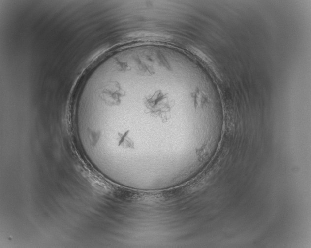 X0000073471074200608111530