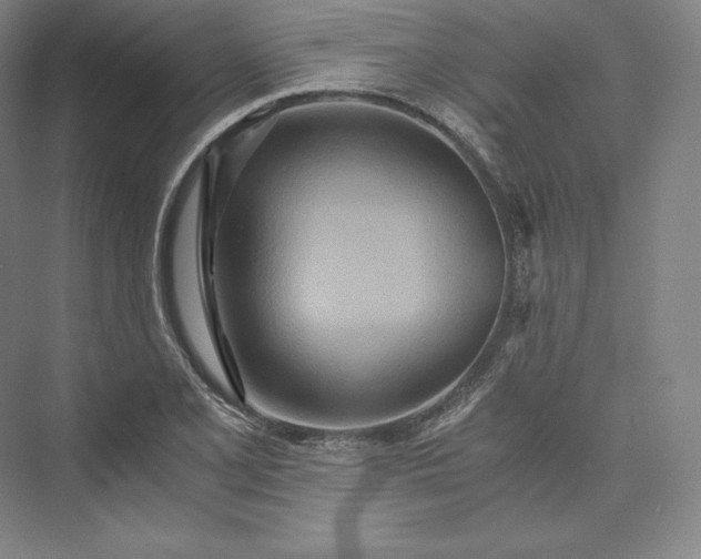 X0000073471077200608111530