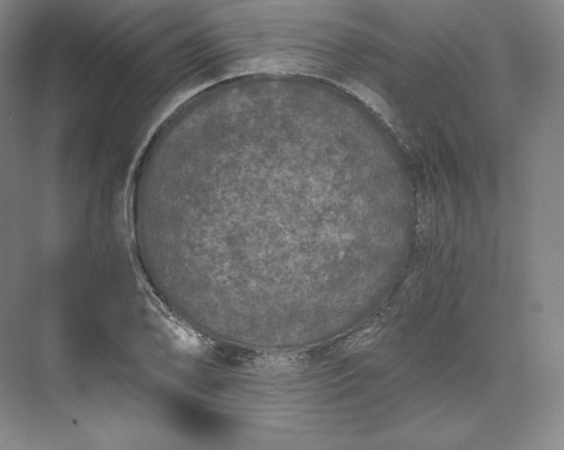 X0000073471078200608111530