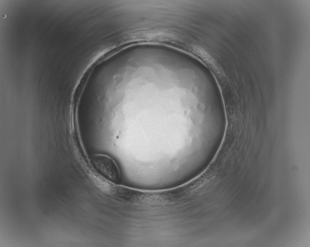 X0000073471079200608111530