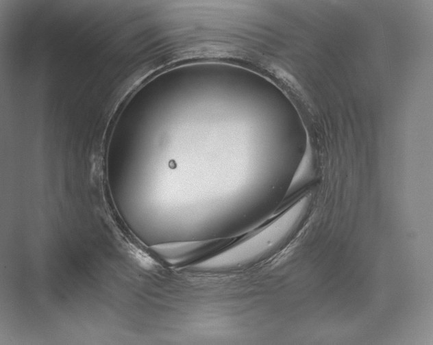 X0000073471081200608111530