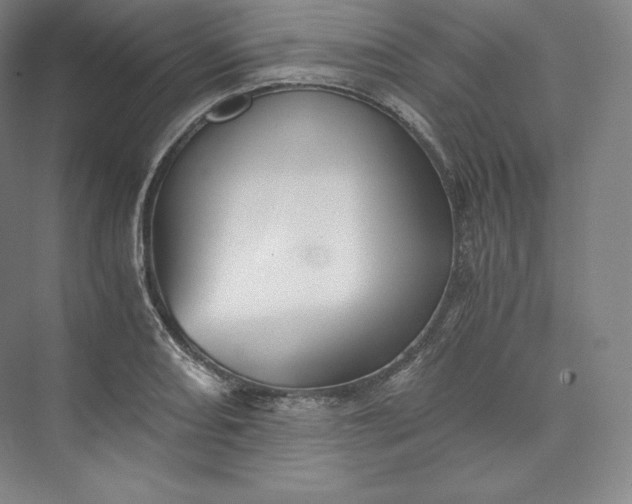 X0000073471082200608111530