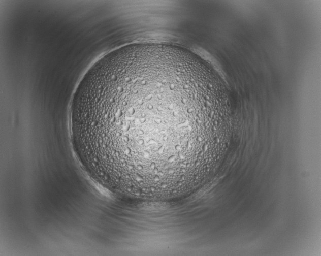 X0000073471083200608111530