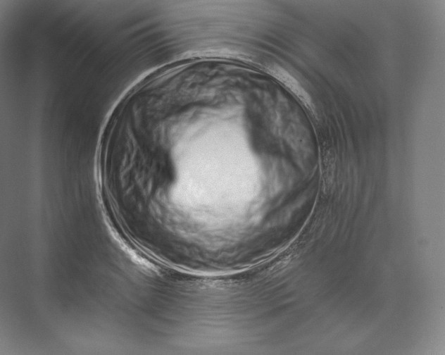 X0000073471084200608111530