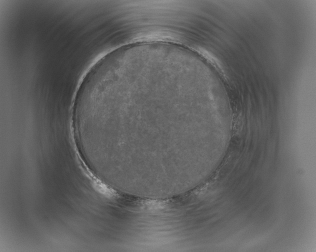 X0000073471086200608111530