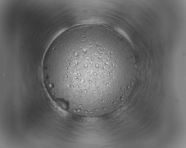 X0000073471087200608111530