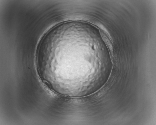 X0000073471088200608111530